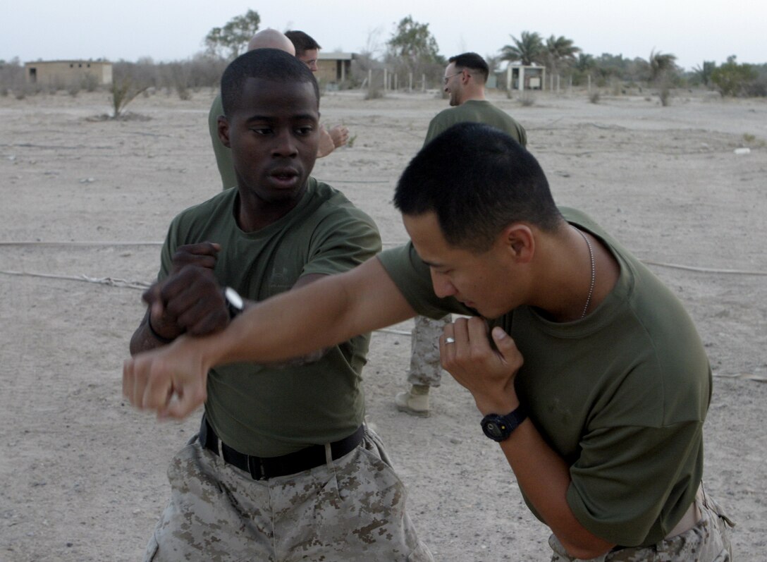 CAMP BAHARIA, Iraq - Petty Officer 3rd Class Iridious Ruise, 1st Battalion, 6th Marine Regiment's preventive medicine technician, deflects a punch from a fellow sailor during a martial arts training session here July 29.  The battalion's corpsmen and chaplain received instruction on how to perform self-defense maneuvers such as countering choke holds and various types of strikes.