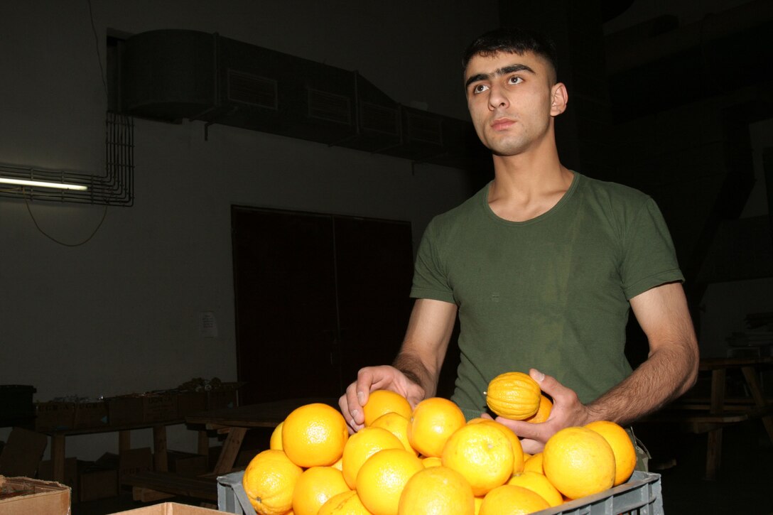 Hadithah, Al Anbar, Iraq.-- Azerbaijani private Habib Ezizov sorts fresh oranges in the dam's mess hall.  The Azerbaijanis provide soldiers to help serve breakfast and dinner in addition to their guard duties.  At least one Marine works with them on the chow line to coordinate work.   (Photo by LCpl. Marc Fencil. )