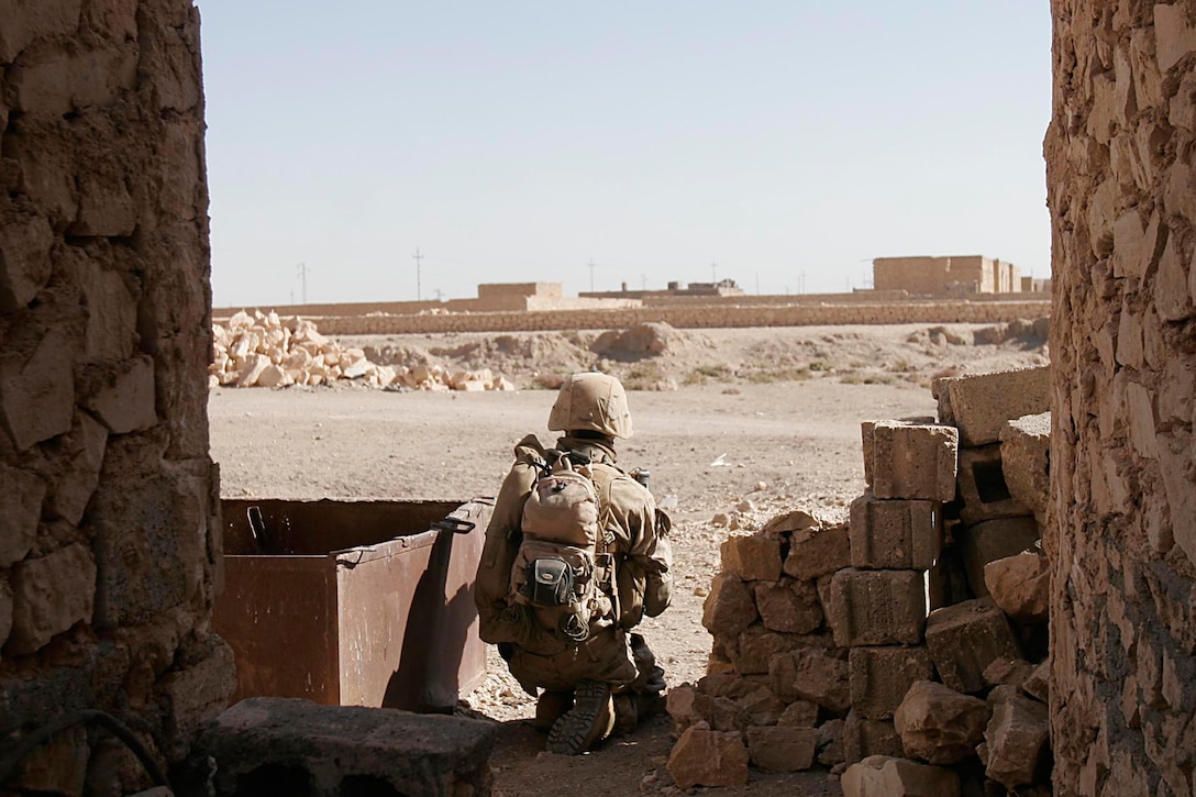 Husaybah, Iraq ( November 10, 2005)-- A scout with 2nd platoon, 1st LAR provides security while on patrol during Operation Steel Curtain on the Marine Corps' 230th Birthday. The Marines found a cache and were given a hot meal at the end of day in celebration of the holiday. (Official U. S. Marine Corps photo by Corporal Ken Melton)