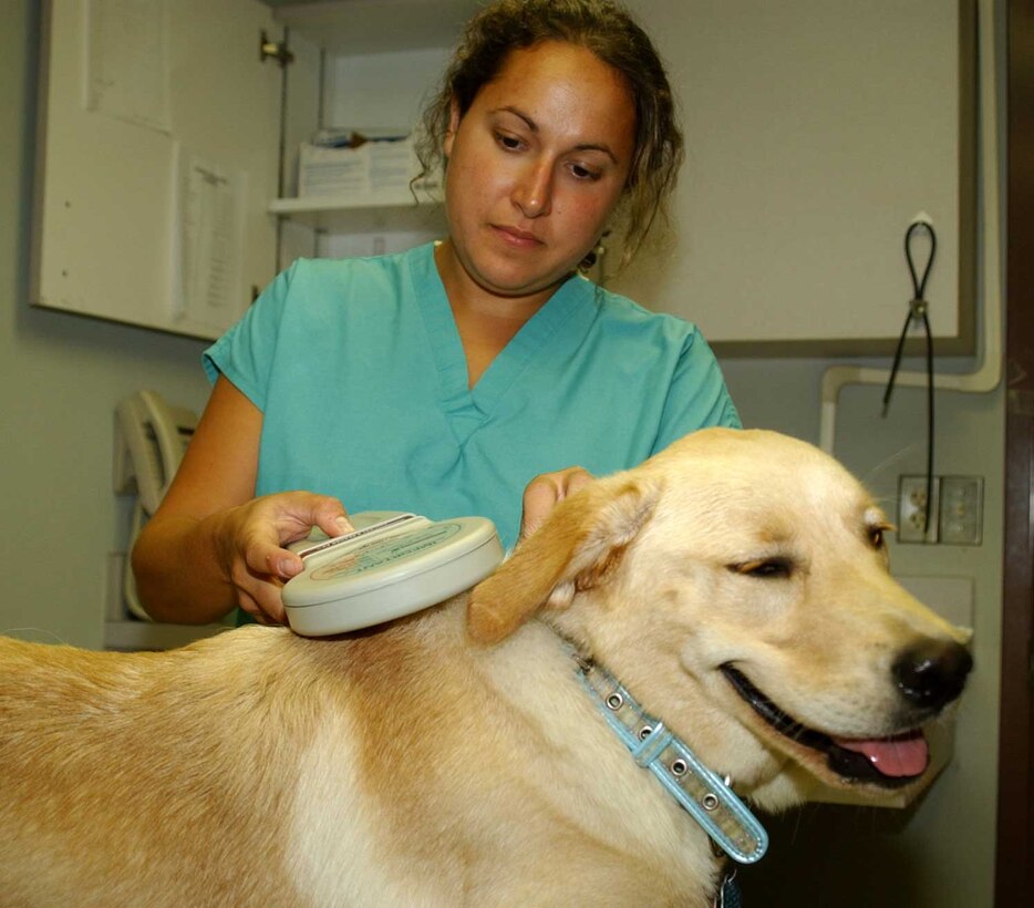 Army Capt. Genevieve Vega, branch chief, Veterinary Services, Naval Hospital, Camp Lejeune, scans the tracking chip implanted in her dog Mya with the HomeAgain scanner.