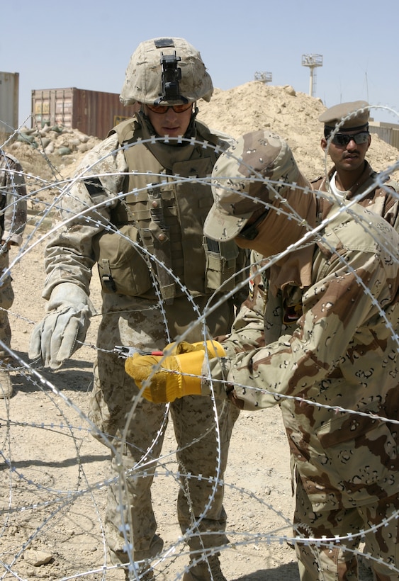 FALLUJAH, Iraq - Lance Cpl. Jason Murray, a team leader with 2nd Squad, 2nd Platoon, Company A, 2nd Combat Engineer Battalion, observes an Iraqi soldier cut a strand of concertina wire here June 13.  Marine engineers instructed the soldiers on how to string various types of wires, board up windows and fortify defensive positions.