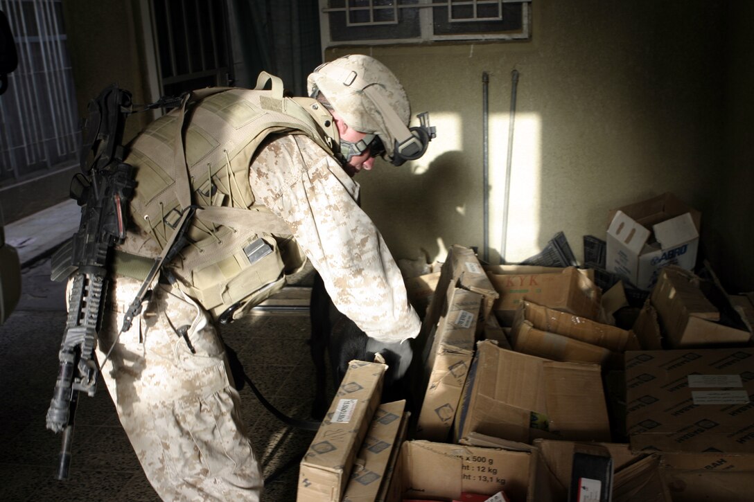 FALLUJAH, Iraq - A military working dog handler works beside Company C, 1st Battalion, 6th Marine Regiment personnel to sift through boxes inside a home here Aug. 13 during Operation Hard Knock.  The battalion's Marines and Iraqi Security Forces blocked off a sector of Northwestern Fallujah to search dozens of houses for weapons and to gather census information on the populace.