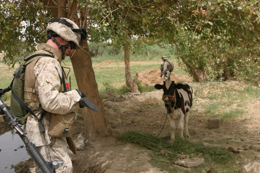 CAMP BLUE DIAMOND, AR RAMADI, Iraq - Members of the guard force here patrol the area outside the wall, Aug. 14.  U.S. Marine Corps photo by Sgt. Stephen D'Alessio (RELEASED)