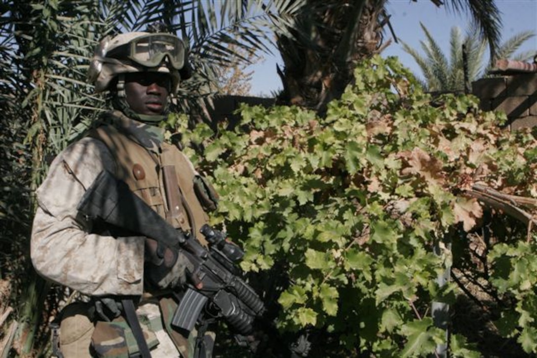 KARABILAH, Iraq ? A native of Dakar, Senegal, Lance Cpl. Pascal R. Cisse, an infantryman assigned to 3rd Platoon, Company E, 2nd Battalion, 1st Marine Regiment, temporarily assigned to Regimental Combat Team 2, poses here Nov. 12.  The 27 year old, who speaks five languages, came to United States and volunteered for the Marine Corps three weeks after his arrival there.