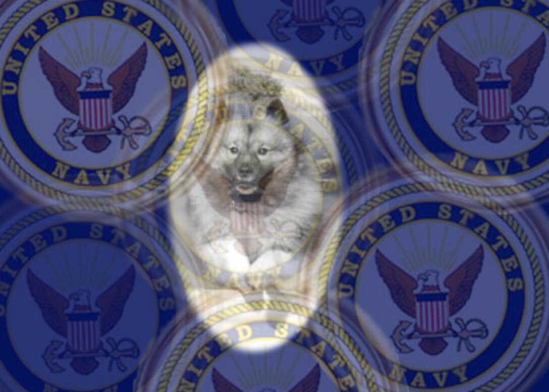 Petty Officer 1st class Jeremy Gilliam, lead electrical division petty officer, USS Scranton, and his three year-old pure-bred Keeshond named Buddy, like the one in the photo, recently competed in the 129th Westminster Kennel Club Dog Show held at Madison Square Garden.
