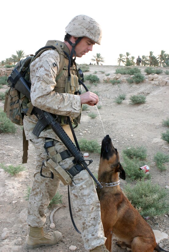 HADITHA DAM, Iraq - Sergeant James J. Wasmer, a Chatham, Mass. native, and his search dog, Euro, both attached to 3rd Battalion, 1st Marine Regiment, take a water break during a recent weapons and explosive sweep here.