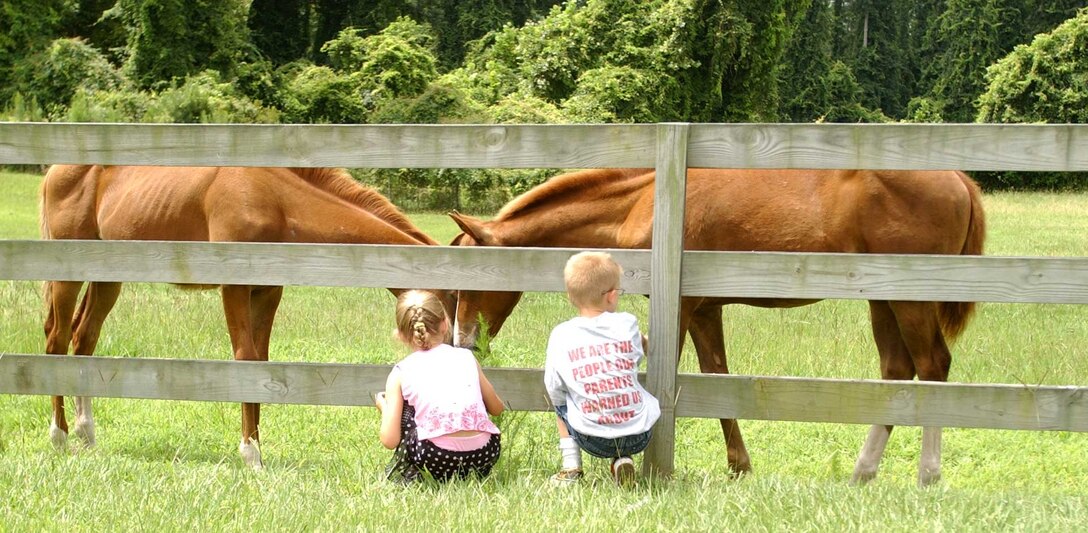 Thomas Green and Paige Smith, Scarlet and Gold Riding Club members, feed Carmine and Willy, two ponies boarded at the stables here.