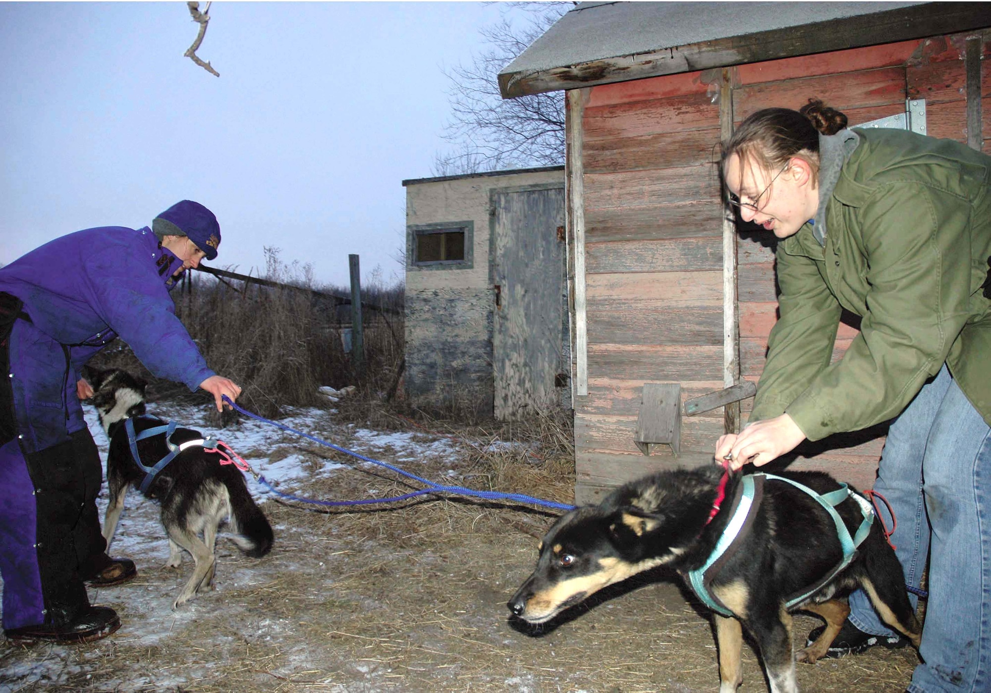 DEERING, N.D. -- Senior Airman Mary Lunde (left) and Airman 1st Class Jessica Whitington tighten the harness on one of Airman Lunde's dogs.  She owns more than a dozen sled dogs that she trains with weekly in hopes of one day racing in the Iditarod.  The Airmen are assigned to the 5th Munitions Squadron at nearby Minot Air Force Base.  (U.S. Air Force photo by Airman 1st Class Danny Monahan)