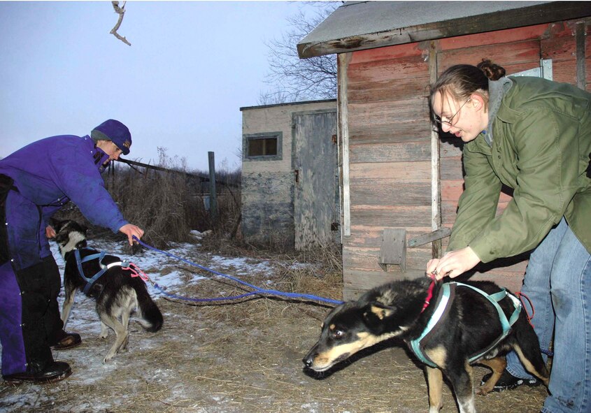 DEERING, N.D. -- Senior Airman Mary Lunde (left) and Airman 1st Class Jessica Whitington tighten the harness on one of Airman Lunde's dogs.  She owns more than a dozen sled dogs that she trains with weekly in hopes of one day racing in the Iditarod.  The Airmen are assigned to the 5th Munitions Squadron at nearby Minot Air Force Base.  (U.S. Air Force photo by Airman 1st Class Danny Monahan)