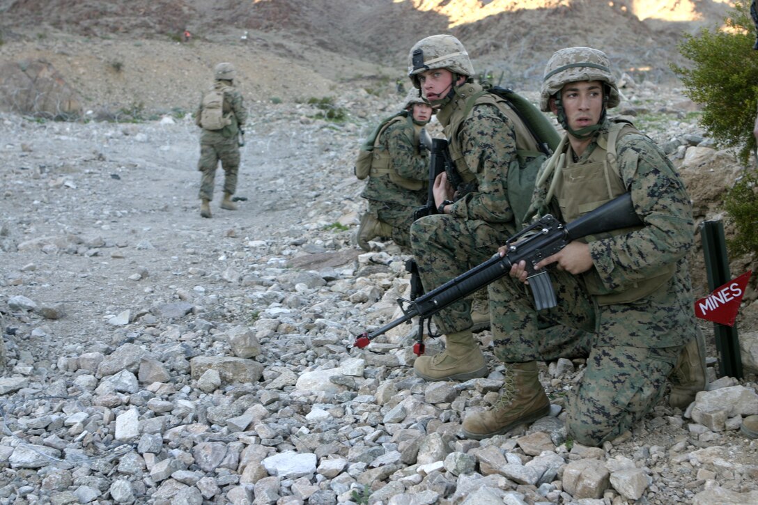Marines from Company B, 1st Battalion, 6th Marine Regiment establish security for fellow troops running through Range 400 here.  The battalion fired ranges such as these during their Revised Combined Arms Exercise here to learn to operate as a team and prepare for a deployment to Iraq in March.