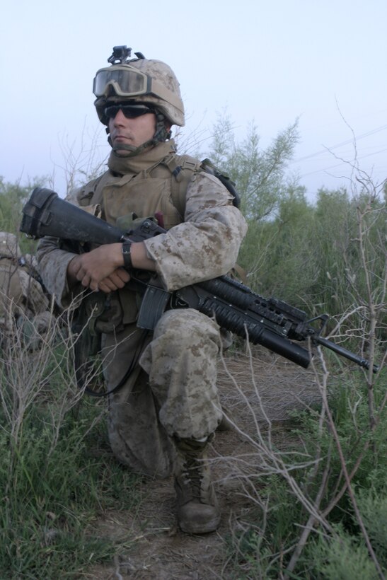 SAQLAWIYAH, Iraq - A Marine with 2nd Platoon, Company A, 1st Battalion, 6th Marine Regiment kneels down as he provides security in a field outside Saqlawiyah May 22.  Company A personnel worked alongside Iraqi soldiers and combat engineers to sweep through numerous farm fields outside Saqlawiyah, looking for hidden weapons caches and insurgent activity.