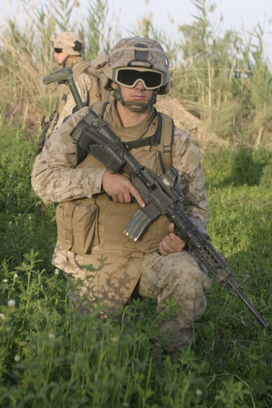 SAQLAWIYAH, Iraq - Lance Cpl. Patrick S. Reynolds, combat engineer with 2nd Platoon, Company A, 2nd Combat Engineer Battalion, assumes a kneeling position as he provides security in a field here May 22.  Combat engineers worked alongside Company A, 1st Battalion, 6th Marine Regiment infantrymen and Iraqi soldiers to sweep through numerous farm fields outside Saqlawiyah, looking for hidden weapons caches and insurgent activity.