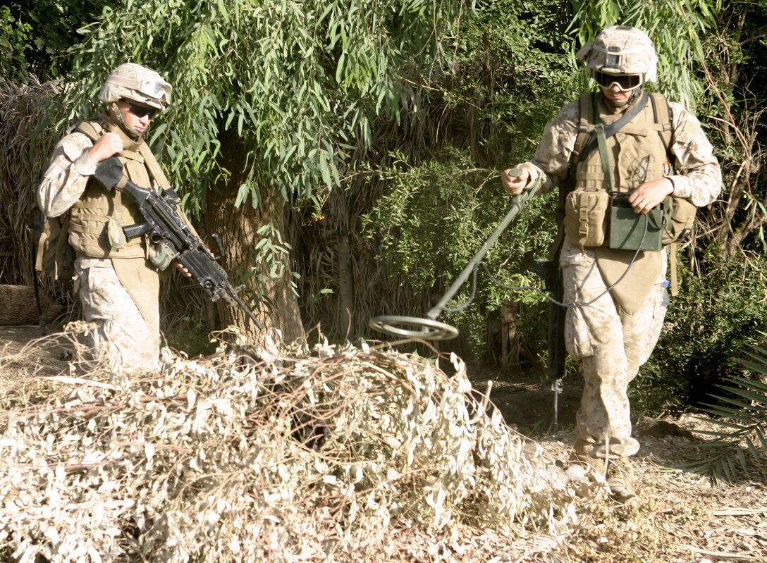 SAQLAWIYAH, Iraq - Lance Cpl. Patrick S. Reynolds, combat engineer with 2nd Platoon, Company A, 2nd Combat Engineer Battalion, right, and Pfc. Ryan Cheney, a fellow engineer, left, search a mound of shrubbery in a field outside Saqlawiyah May 22.  Combat engineers worked alongside Company A, 1st Battalion, 6th Marine Regiment infantrymen and Iraqi soldiers to sweep through numerous farm fields outside Saqlawiyah, looking for hidden weapons caches and insurgent activity.