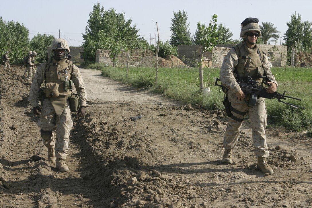 SAQLAWIYAH, Iraq - Marines with 2nd Platoon, Company A, 1st Battalion, 6th Marine Regiment patrol through farm fields outside Saqlawiyah May 22.  Company A personnel worked alongside Iraqi soldiers and combat engineers to sweep through numerous farm fields outside Saqlawiyah, looking for hidden weapons caches and insurgent activity.