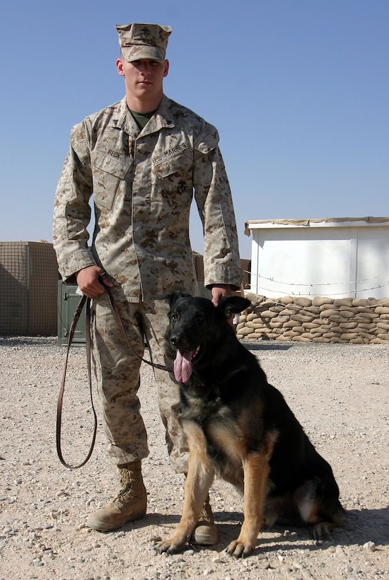 CAMP AL QA'IM, Iraq (Sept. 16, 2005) - Philadelphia native Cpl. Jeffery S. Beck, military police working dog handler, 2nd Military Police Battalion, Regimental Combat Team - 2, stands with his dog, Ali, a 110 pound German Shephard.  (Official U.S. Marine Corps photo by Sgt. Jerad W. Alexander)