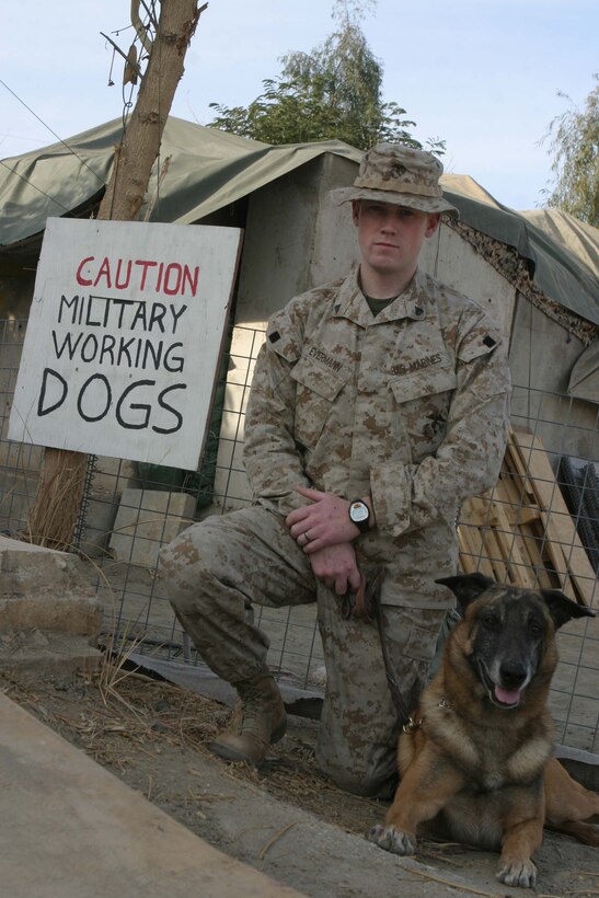 CAMP BLUE DIAMOND, RAMADI, Iraq - Corporal Noah S. Evermann is a military dog handler with 2nd Military Police Battalion attached to the 2nd Marine Division. Evermann and his 80 pound Belgian Malnois Borris often man the front gate of the camp searching through the various food and supply trucks sniffing out any weapons or explosives. Official U.S. Marine Corps photo by Sgt. Ryan S. Scranton