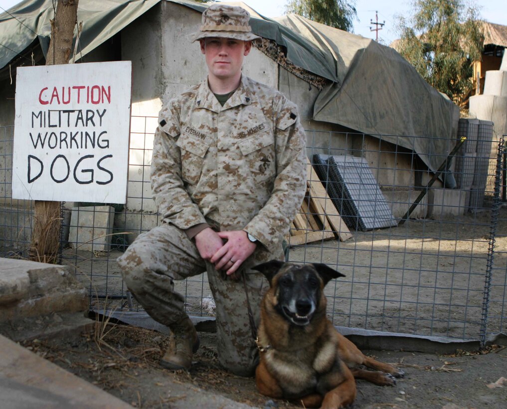 CAMP BLUE DIAMOND, RAMADI, Iraq – Corporal Noah S. Evermann is::n::a military dog handler with 2nd Military Police Battalion attached to the 2nd Marine Division. Evermann and his 80 pound Belgian Malnois Borris often man the front gate of the camp searching through the various food and supply trucks sniffing out any weapons or explosives. Official U.S. Marine Corps photo by Sgt. Ryan S. Scranton::n::