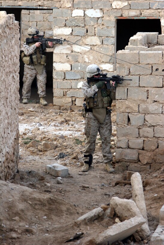 AR RAMADI, Iraq (November 30, 2005) - Two Marines from 3rd Battalion, 7th Marine Regiment, maintain security while engineers and military working dogs search a field for hidden weapons caches during Taskforce Block Party Six Nov. 30. Photo by Cpl. Shane Suzuki