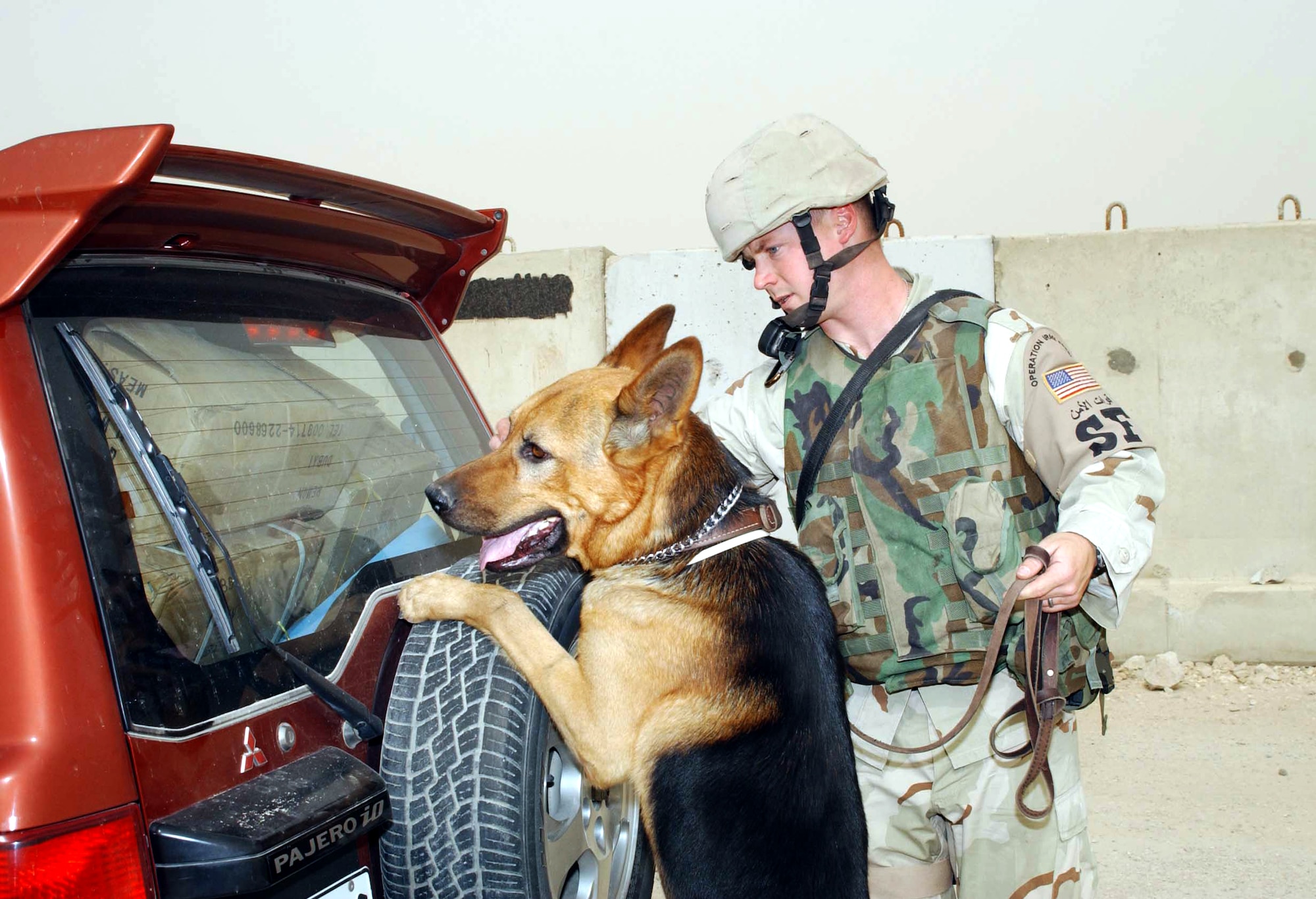 SOUTHERN IRAQ -- Doran, a 4-year-old explosive patrol dog, searches the back of a civilian vehicle at a remote location as his handler, Staff Sgt. Gregory Long, directs him to potential hiding spots.  They are assigned to the 407th Expeditionary Security Forces Squadron at Ali Base.  (U.S. Army photo by Master Sgt. Lek Mateo)