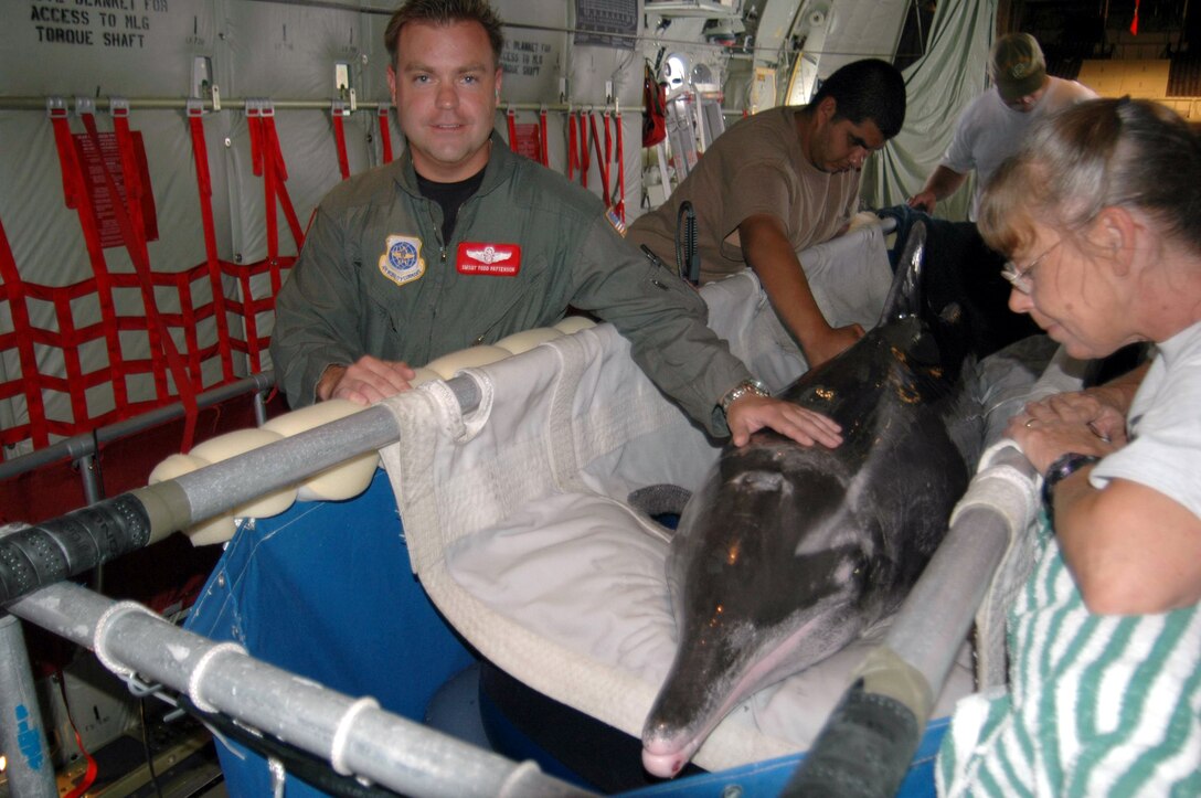 CORPUS CHRISTI, Texas -- Senior Master Sgt. Todd Patterson and Lea Walker (right) spend time with Noah, a rescued dolphin, on a C-130J Hercules en route to Florida.  Aircrew with the 815th Airlift Squadron from Keesler Air Force Base, Miss., helped volunteers keep Noah hydrated and comfortable during the three-hour flight.  Ms. Walker is the regional director of the Texas Marine Mammal Standing Network.  (U.S. Air Force photo by Tech. Sgt. James B. Pritchett)
