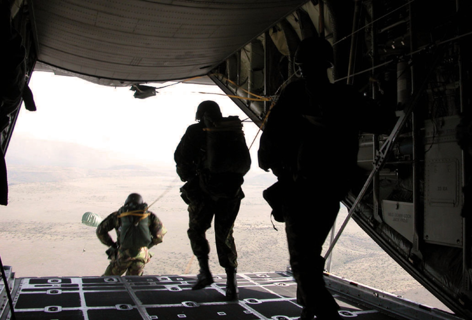 KENYA -- The last of the 12 U.S. and Kenyan Army paratroopers take the plunge into a drop zone June 6.  Before jumping, the drop zone had to be cleared of lions, tigers and zebras.  (U.S. Air Force photo by Tech. Sgt. Mark Munsey)