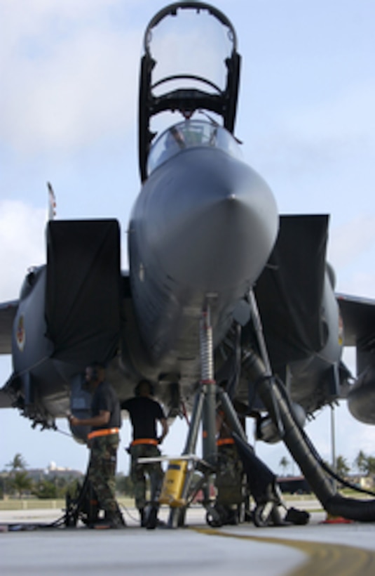 U.S. Air Force F-15 Eagle maintenance personnel perform a landing gear ...