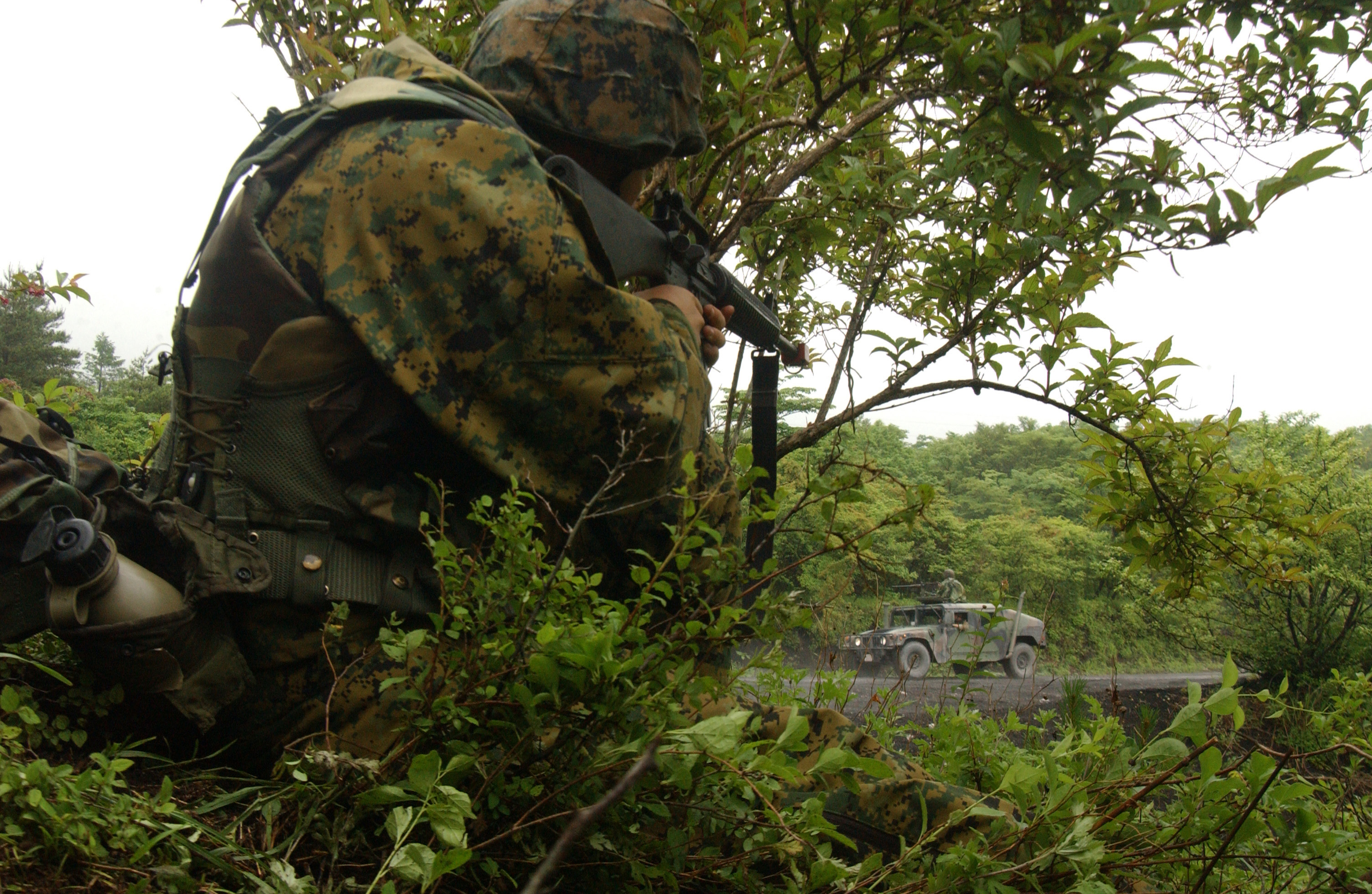 ambush1.jpg