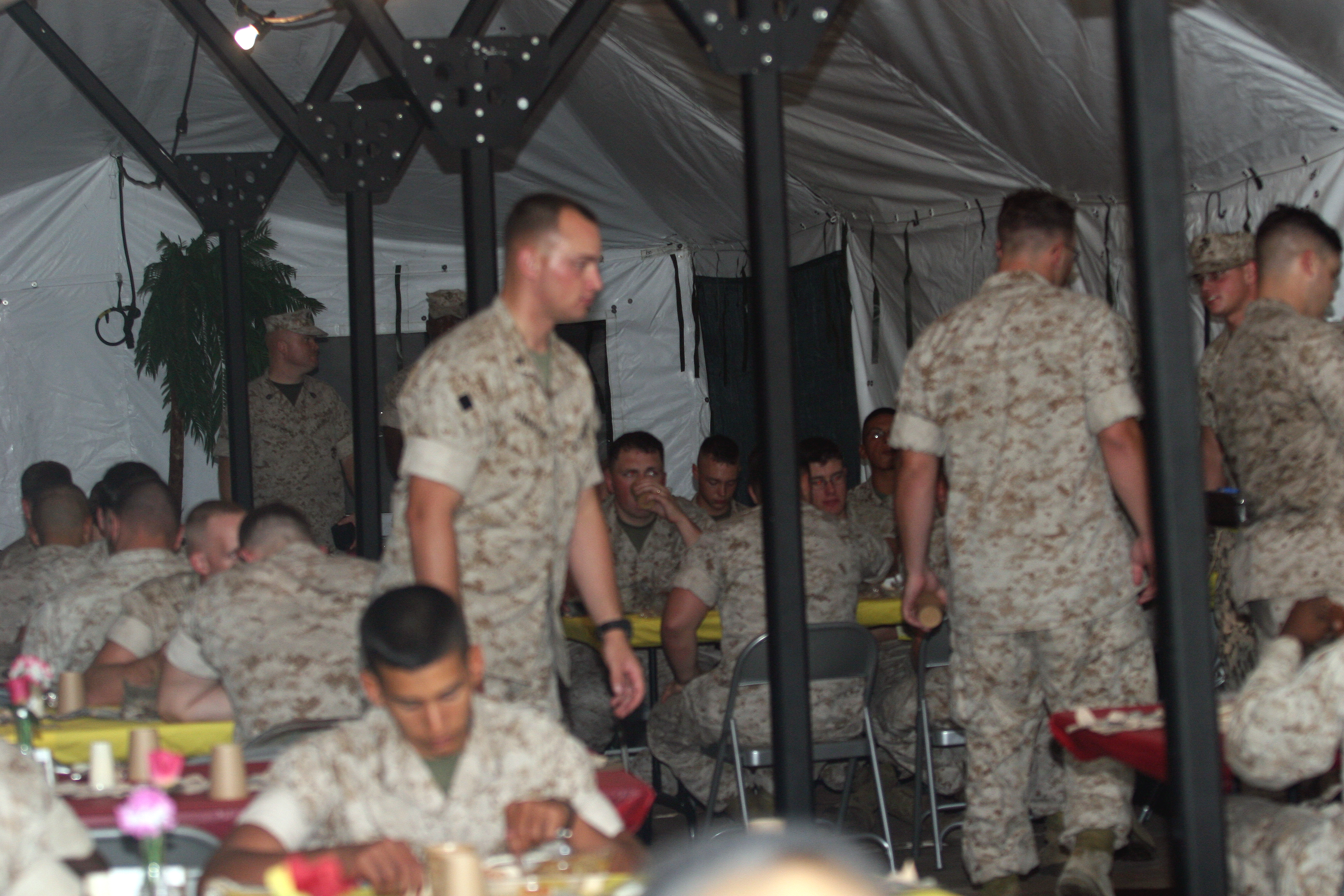 Marine father, son serve together in Al Asad > 2nd Marine Aircraft