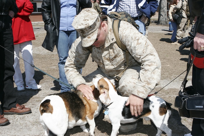 AL ASAD, Iraq -- Lance Cpl. Shundricus A. Garrett, a radar technician assigned to Marine Aviation Logistics Squadron 26 (Reinforced) and Atlanta native, performs alignment checks on an F/A-18D Hornet’s radar antenna March 16.  The antenna is part of the aircraft’s weapons system and allows the pilot to search, track and target airborne threats.