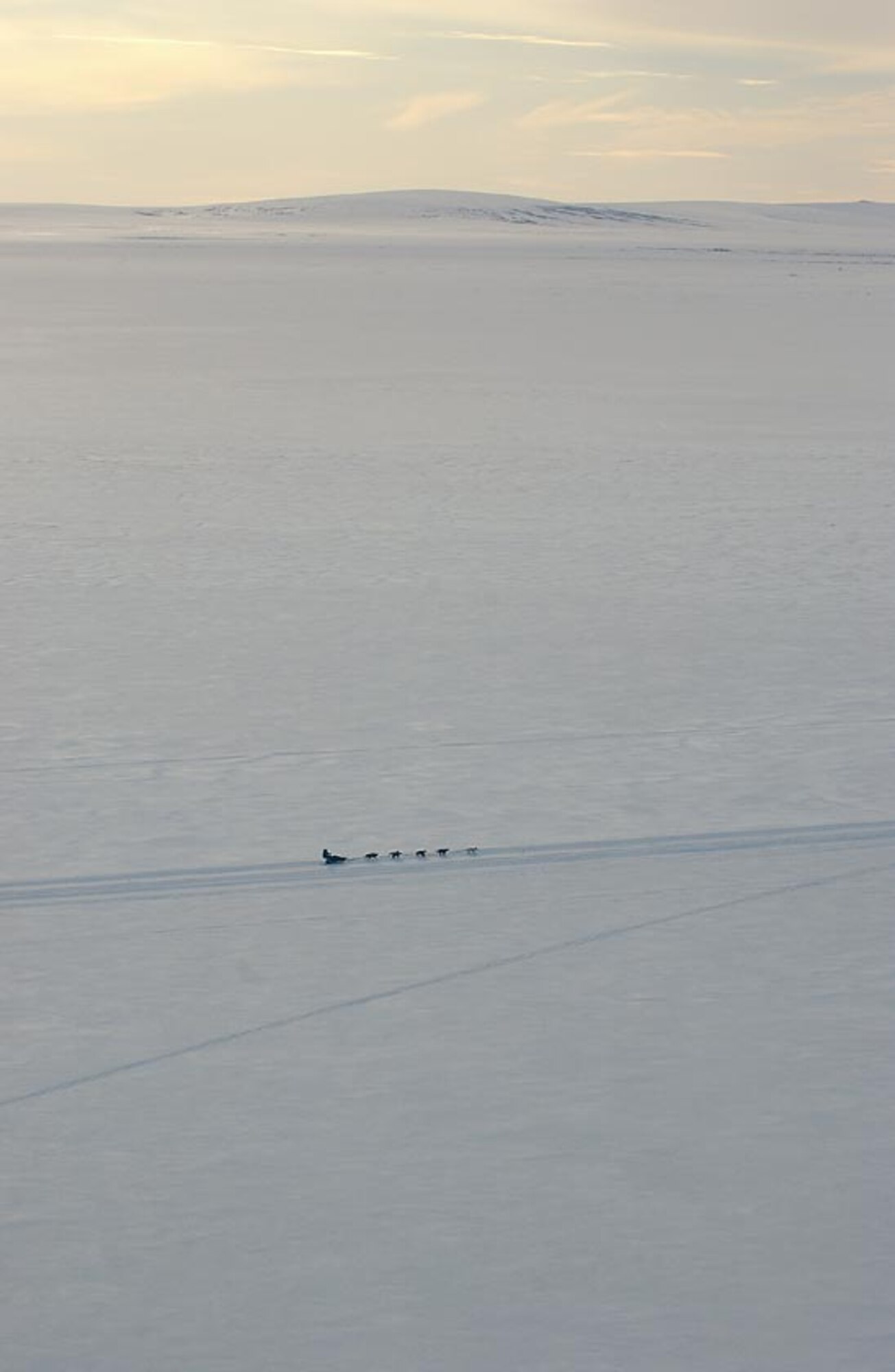 ALONG THE IDITAROD TRAIL, Alaska -- Maj. (Dr.) Tom Knolmayer drives his dog team across a frozen section of the Bering Sea during the 33rd Iditarod Trail Sled Dog Race.  Dr. Knolmayer and his dog team spent 13 days, 22 hours, 13 minutes and 25 seconds on the trail, covering 1,161 miles.  He is chief of surgery at Elmendorf Air Force Base, Alaska.  (U.S. Air Force photo by Tech. Sgt. Keith Brown)
