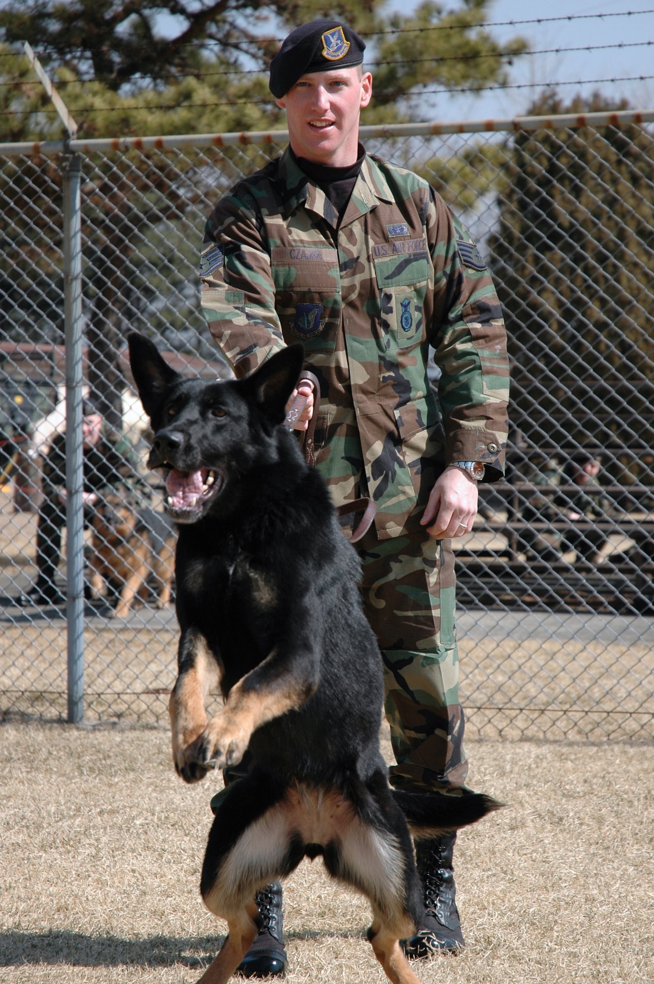 OSAN AIR BASE, South Korea -- Staff Sgt. Corby Czajka holds back his eager partner, Betty, before engaging in a criminal chase exercise here.  Sergeant Czajka is a 51st Security Forces Squadron military working dog handler.  The dogs are highly trained to obey specific commands and for multiple tasks.  The military working dog kennel here is the largest operational kennel in the Air Force.  (U.S. Air Force photo by Staff Sgt. Russell Wicke)