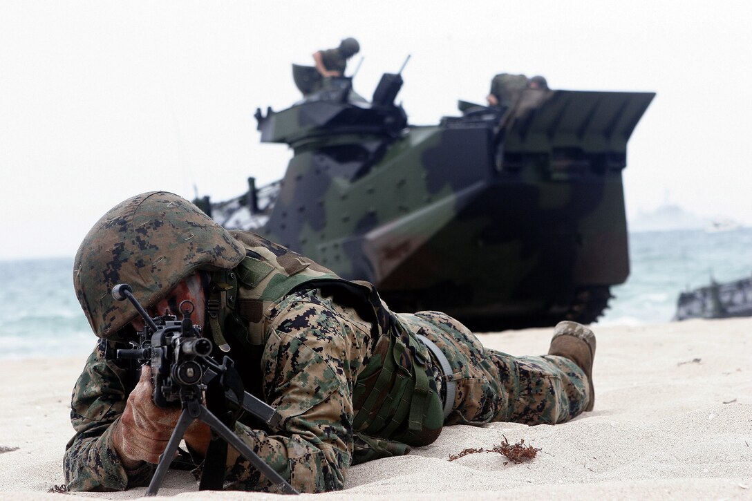 Marines storm the beach during the 2005 McDonald's Air and Sea show in Fort Lauderdale, Fl. The Marine Air Ground Task Force demonstration helped kick off the world's largest spectator event.