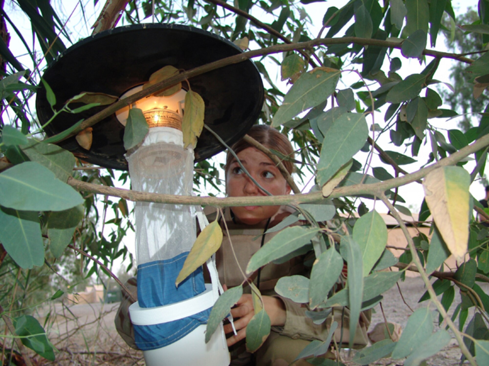 BAGHDAD, Iraq -- Staff Sgt. Becky Patterson sets a trap to catch sand flies and mosquitoes that will be tested for insect-borne diseases that threaten U.S. forces deployed to Iraq.  She is assigned to the 447th Expeditionary Medical Squadron's public health flight and is deployed from Maxwell Air Force Base, Ala.  (U.S. Air Force photo by Tech. Sgt. Brian Davidson)                           