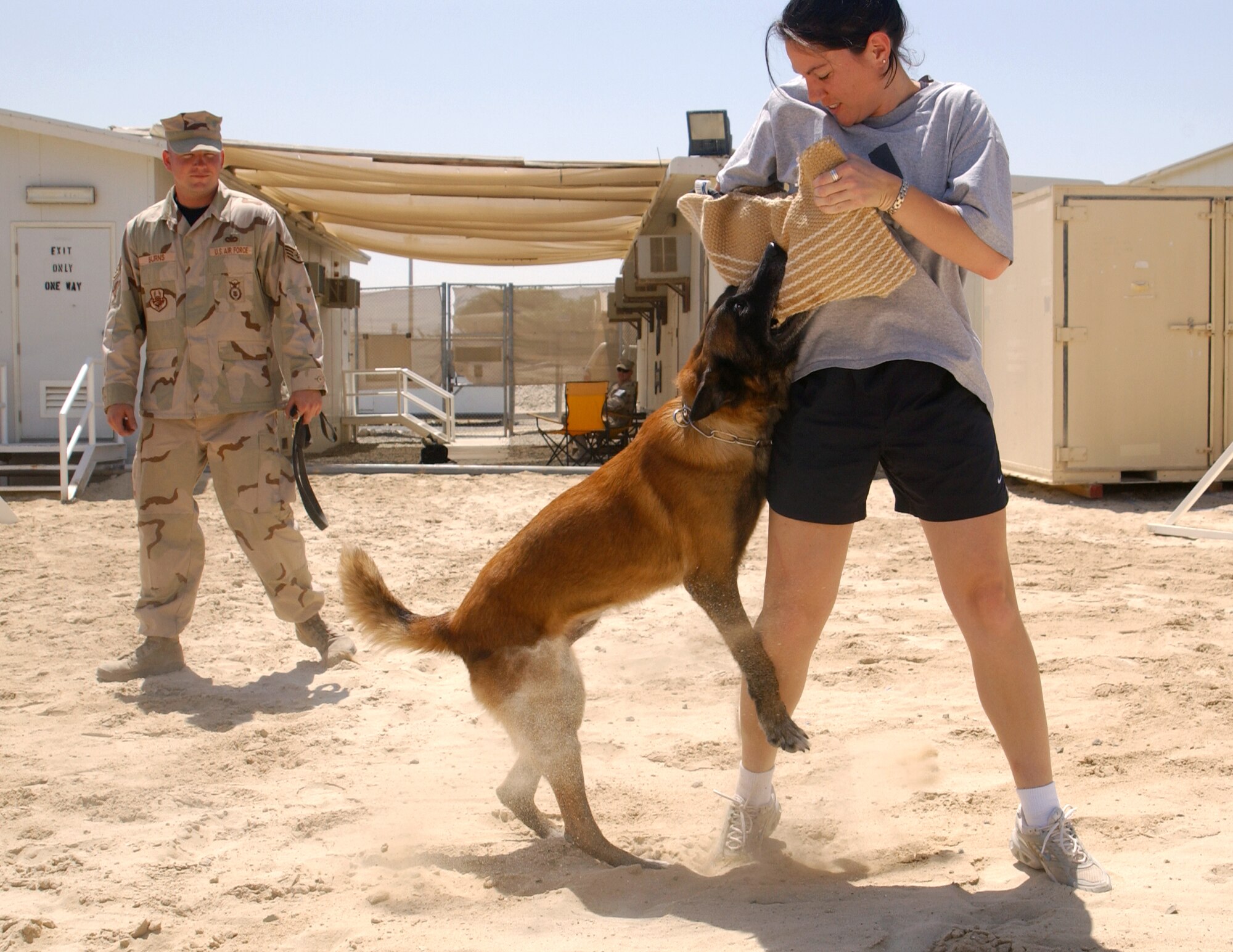 SOUTHWEST ASIA -- Staff Sgt. Thomas Burns watches as Ogar, a military working dog, attempts to take down Staff Sgt. Danielle Carver during training.  Six dog handlers are deployed to this forward-deployed location with their dogs.  Sergeant Burns and Ogar are deployed from Hickam Air Force Base, Hawaii.  (U.S. Air Force photo by Master Sgt. Cheryl L. Toner)