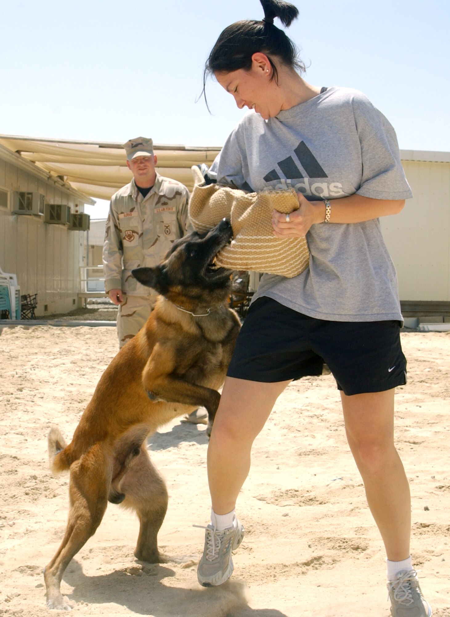 SOUTHWEST ASIA -- Staff Sgt. Thomas Burns watches as Ogar, a military working dog, attempts to take down Staff Sgt. Danielle Carver during training.  Six dog handlers are deployed to this forward-deployed location with their dogs.  Sergeant Burns and Ogar are deployed from Hickam Air Force Base, Hawaii.  (U.S. Air Force photo by Master Sgt. Cheryl L. Toner)