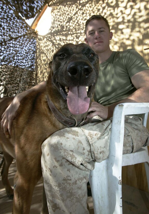 Duck, a patrol explosives detector dog, remains at his handlers side after a long days work.  The nine-year-old Belgium Malinois deployed to Iraq to help search for explosives, maneuver and mobility support operations, supply route security and training.