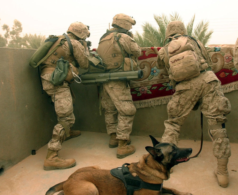 Three Marines with Company I, 3rd Battalion, 6th Marine Regiment, fire on insurgents in Husaybah, Iraq, Nov. 14, 2005, during the opening day of Operation Steel Curtain ? an 18-day operation last November which saw hundreds of insurgents killed or captured in the cities of Husaybah and Karabilah. After spending seven months of routing out insurgents and stabilizing the Al Qa?im region, located along the Euphrates River in northwestern Al Anbar Province near the Syrian border, the Camp Lejeune, N.C.-based Marines say they?re leaving the region in better shape then when they arrived last year. During the past seven months, the Marines have brought stability back to the people of western Iraq by training Iraqi Army soldiers and ridding the region of anti-Iraqi forces, thanks to an aggressive counterinsurgency campaign, which included Operation Steel Curtain. ?We're able to progress now with getting consistent (electrical) power, free and clean running water for all the villages up there, as well as starting to rebuild the hospitals and the schoolhouses that have suffered over the last three years,? said Col. Stephen W. Davis, who commanded all Marine forces in western Al Anbar Province for the past year, during a Pentagon press briefing last month. The battalion?s redeployment to the U.S. is part of a regularly scheduled rotation of forces in Al Anbar. More than 25,000 Marine and sailors of Camp Pendleton, Calif.-based I Marine Expeditionary Force are replacing the Camp Lejeune, N.C.-based II MEF. (Official U.S. Marine Corps photo by Sgt. Jerad W. Alexander)
