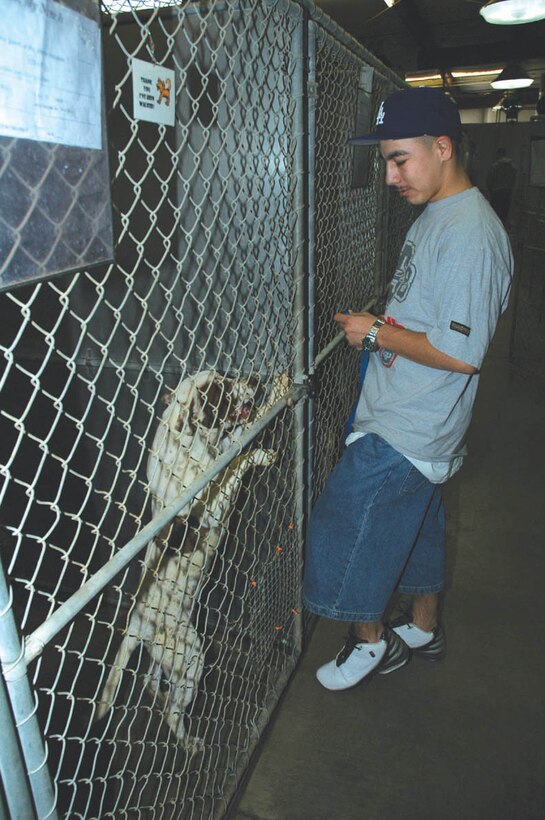 Lance Cpl. Johnny Gonzalez, legal clerk, prepares to let loose a pit bull in the Humane Society of Yuma, Ariz., kennel Nov. 16. The dogs enjoyed the exercise and fresh air, and the single Marines enjoyed some time with man?s best friend.