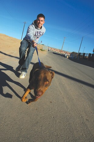 Lance Cpl. Ben St. Cyr, identification clerk, struggles to keep up with Sammy, a lab mix, while taking a run outside the Humane Society of Yuma, Ariz. Through the Single Marine Program, station Marines volunteered their time at the society Nov. 16 to bring some joy into the lives of these caged animals, such as Sammy, who are waiting to be adopted.