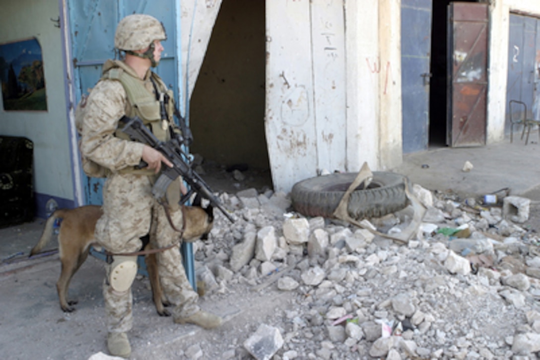 A U.S. Marine and his K-9 watch over the streets of Karabila while the Marines of India Company, 3rd Battalion, 6th Marines, clear houses during Operation Steel Curtain in Husaybah, Iraq, on Nov. 10, 2005. The intent of Steel Curtain is to restore Iraqi sovereign control along the Iraq-Syria border and destroy the al Qaeda network operating throughout the Qaim region. 