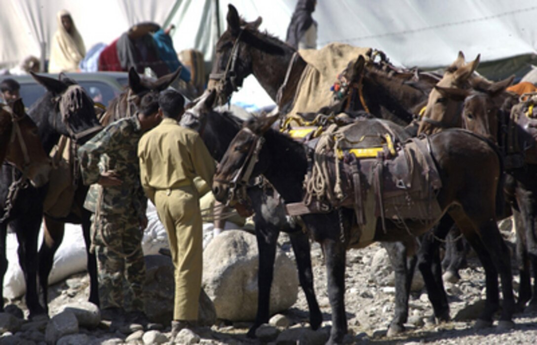 Pakistani soldiers gather mules to load with disaster relief supplies flown in by U.S. military helicopters in Balakot, Pakistan, on Oct. 21, 2005. The mules are being used to reach mountainous areas near Balakot that were damaged by the recent earthquake. The Department of Defense is participating in the multinational effort to provide humanitarian assistance and support to Pakistan and parts of India and Afghanistan following a devastating earthquake. 