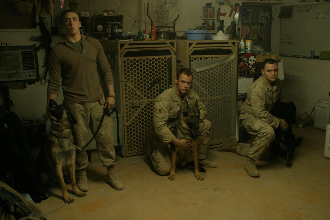 AR RAMADI, Iraq (Oct. 26, 2005)-- Lance Cpl. Andrew D. Johnson, his dog Charlie, 4 (left), Air Force Staff Sgt. Brook K. Jones, his dog Indie, 4 (center), and Cpl. Justin T. Hanna, his dog Chang, 6 stand in their small billeting area here Oct. 23. The noses and training of the military working dogs here assist in finding some of the largest weapons caches in Al Anbar province. These Marines and Airman are the dog team at Combat Outpost in Ar Ramadi.