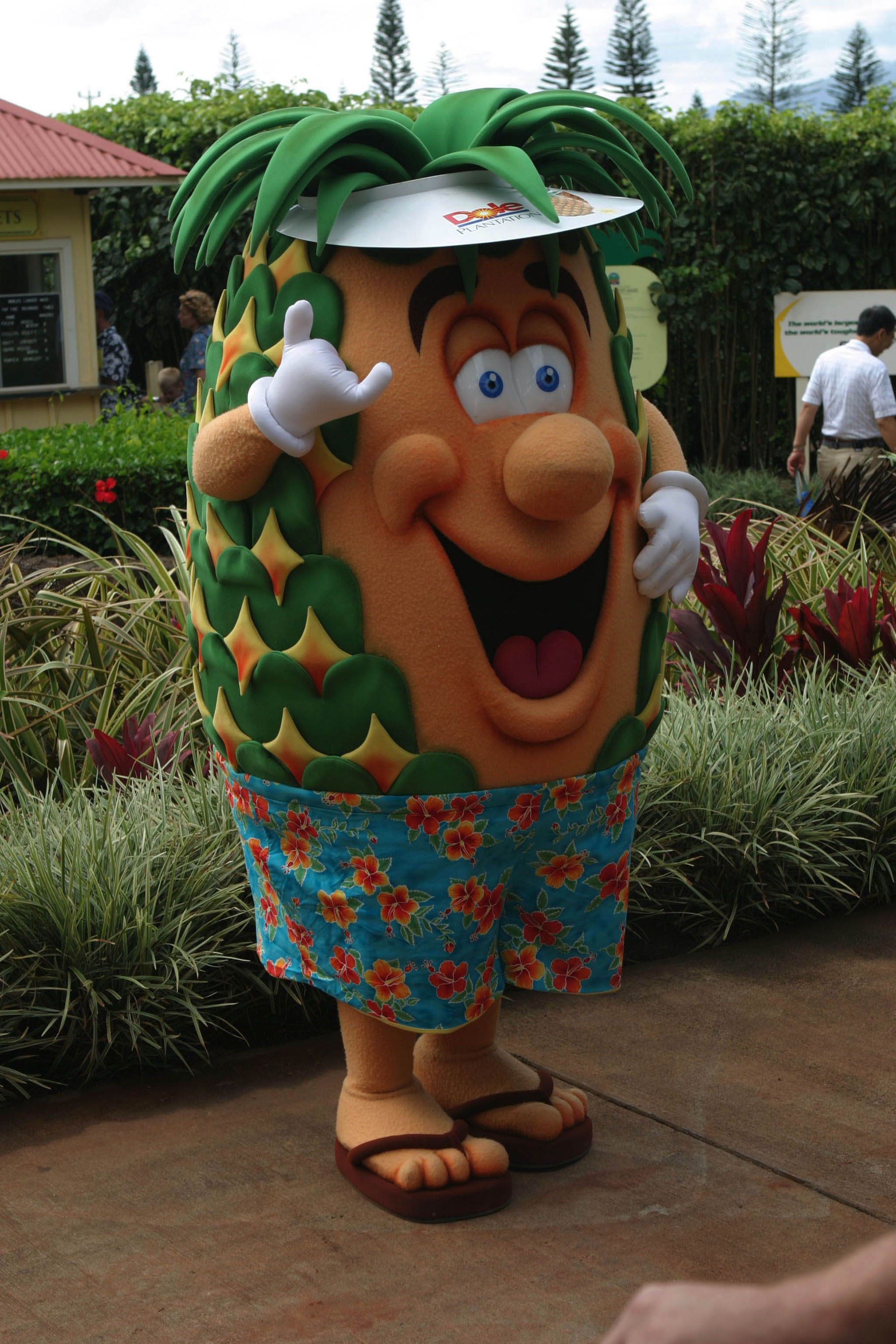 Pineapple fields forever Dole Plantation continues to whip up