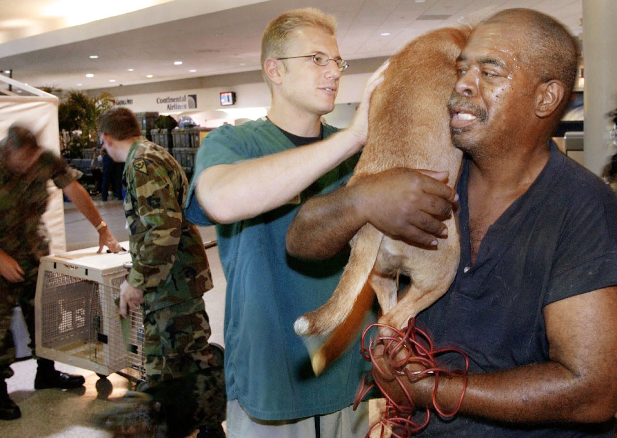 LOUIS ARMSTRONG NEW ORLEANS INTERNATIONAL AIRPORT, La. -- Staff Sgt. Kevin Sanada examines Pork Chop after his arrival here Sept. 6.  Pork Chop was airlifted here with his owner before being evacuated to their final destination.  (U.S. Air Force photo by Master Sgt. Jack Braden)

