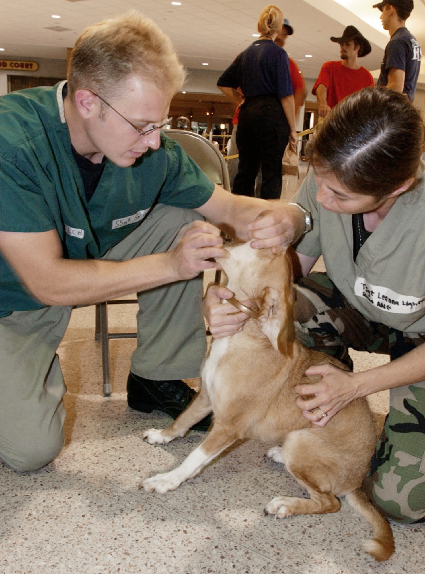 LOUIS ARMSTRONG NEW ORLEANS INTERNATIONAL AIRPORT, La. -- Staff Sgt. Kevin Sanada (left) and Tech. Sgt. Leanna Lightfoot examine a dog affected by Hurricane Katrina.  Evacuees and their pets are being brought here for an examination before being taken to their final destination.  The Airmen are medics with the Nevada Air National Guard's 152nd Medical Group.  (U.S. Air Force photo by Master Sgt. Jack Braden)
