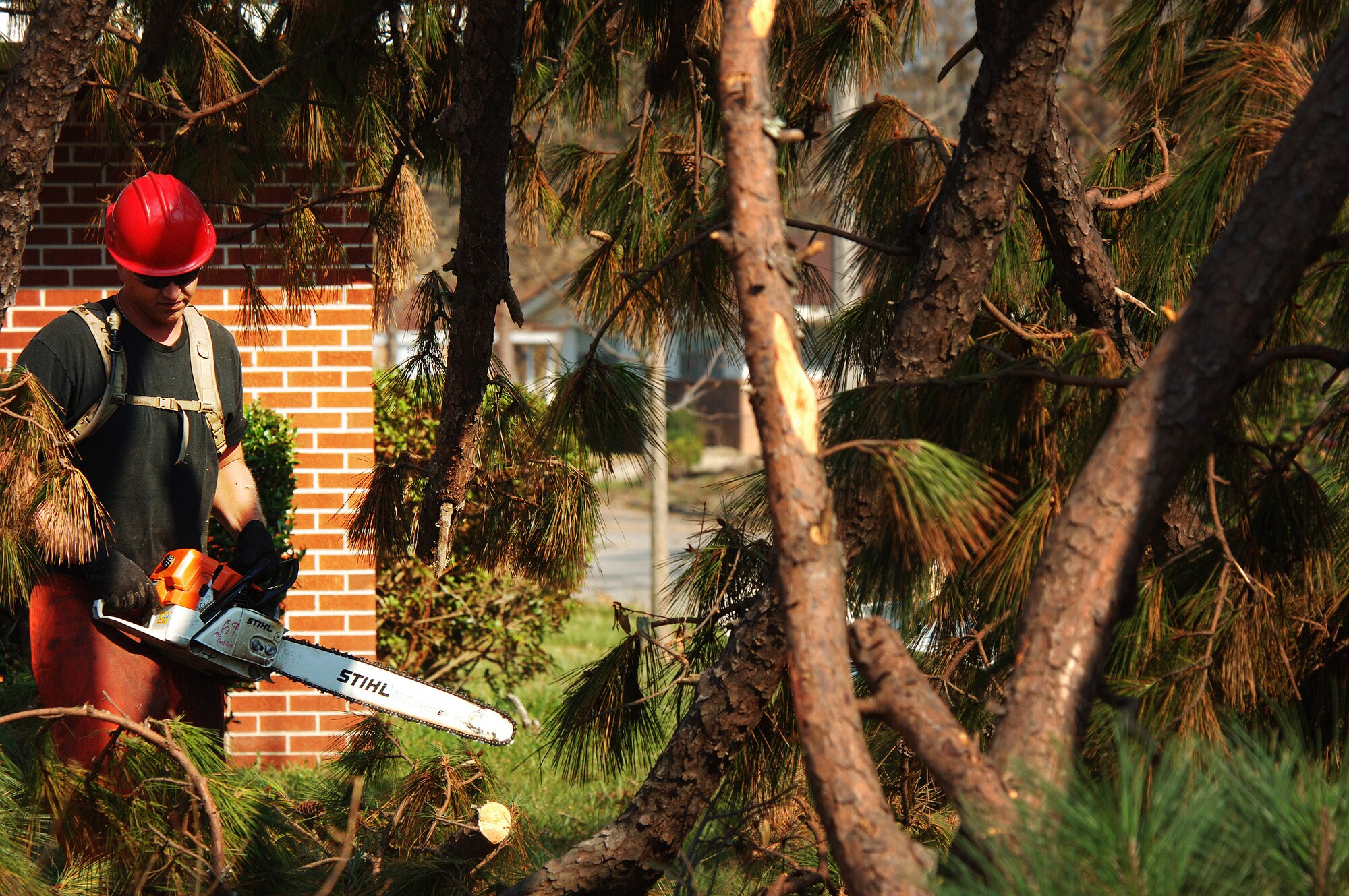 KEESLER AIR FORCE BASE, Miss. -- Staff Sgt. Arthur Hughes uses a chainsaw to remove fallen trees that destroyed nearly 1,000 of 1,800 base homes.  More than 90 Airmen with the 823rd Red Horse Squadron from Hurlburt Field, Fla., are deployed here to help with the base's hurricane recovery effort.  (U.S. Air Force photo by Master Sgt. Efrain Gonzalez)