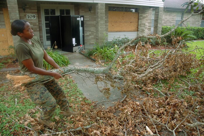 Private First Class Ladetra V. Reese, a Marine with Special Purpose MAGTF St. Bernard, carries a fallen tree limb to the side of the road to be removed by local city officials.::n::Groups of Marines have been volunteering to assist residents near New Orleans by removing fallen trees and other debris from the yards of victims of Hurricane Katrina.