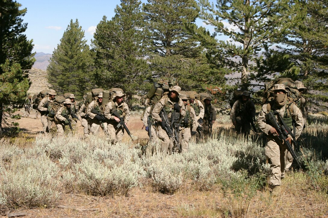 Marines from 1st Squad, Bravo Company, 1st Battalion, 3rd Marine Regiment (1/3), move out for a patrol in the mountains near the Marine Corps Mountain Warfare Training Center in Bridgeport, Calif.  1/3 has been preparing for a deployment to Afghanistan in support of Operation Enduring Freedom.