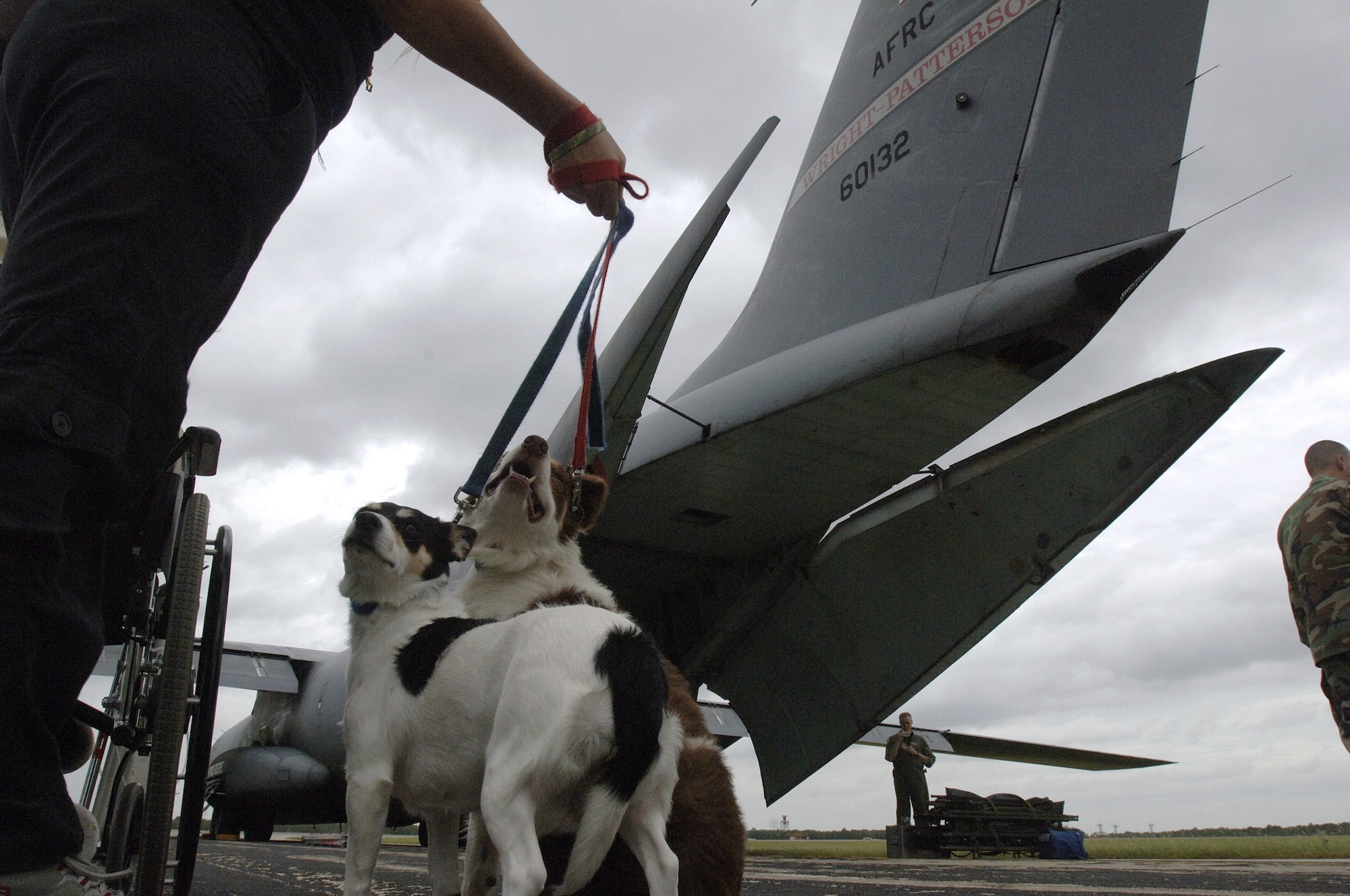 BEAUMONT, Texas (AFPN) -- Shep and Lilly make their way to a C-141 Starlifter from Wright-Patterson Air Force Base, Ohio, during the final hours of an air evacuation from the Southeast Texas Regional Airport here Sept. 22. The dogs and their owner, Linda Haley, were evacuated from the path of Hurricane Rita.  (U.S. Air Force photo by Master Sgt. Lance Cheung)