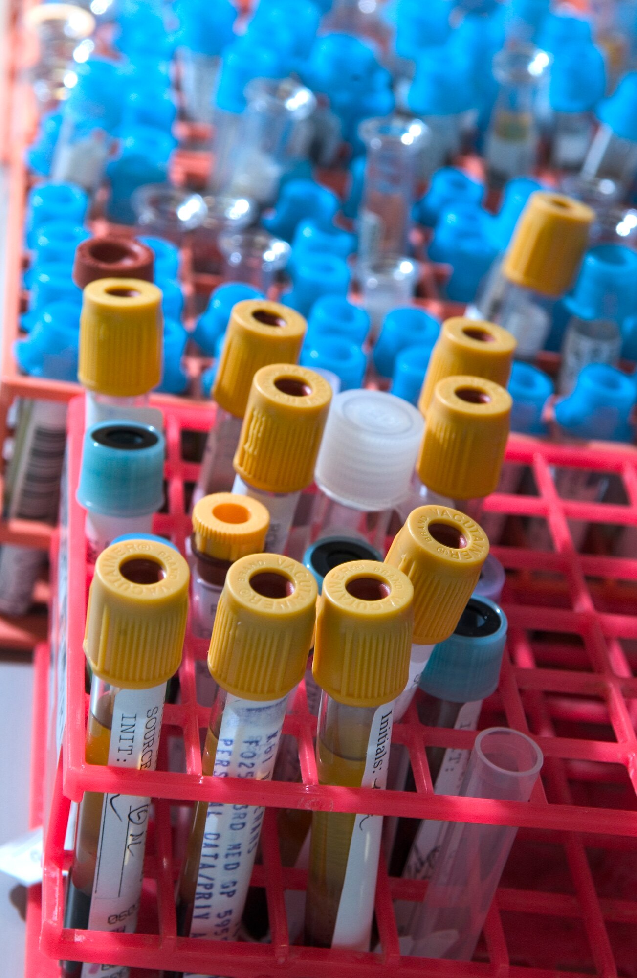 Vials of specimen samples sit in racks at Elmendorf Air Force Base, Alaska, on Wednesday, March 29, 2006. (U.S. Air Force photo by Airman Jonathan Steffen)